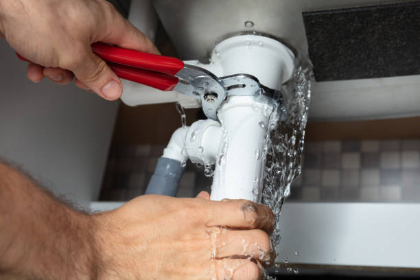Best Professional water damage repair  in Wichita Falls, TX
