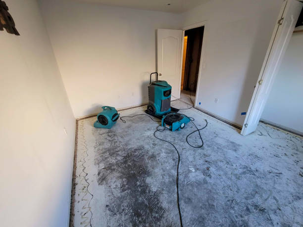 Best Water damage restoration near me  in Wichita Falls, TX
