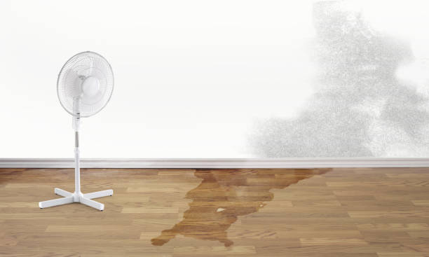 Best Flood restoration services  in Wichita Falls, TX