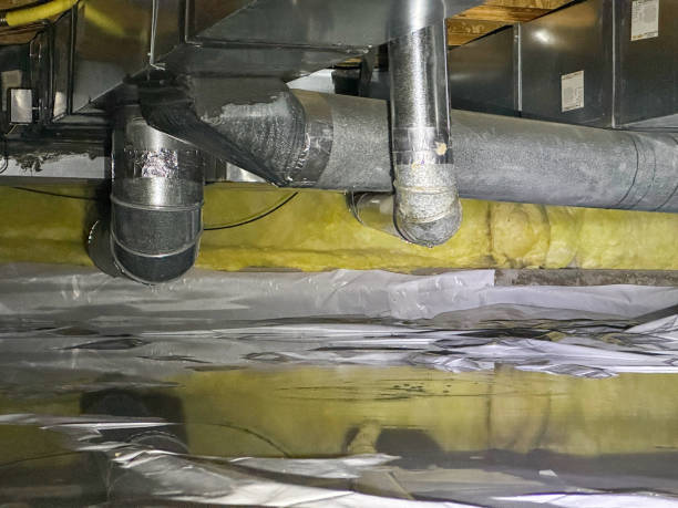 Best Emergency water extraction  in Wichita Falls, TX