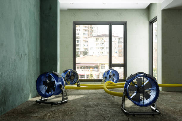 Best Fire Damage Restoration  in Wichita Falls, TX
