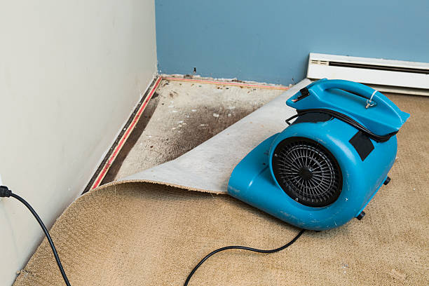 Best Sewage cleanup and water damage restoration  in Wichita Falls, TX